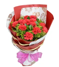 12 Red Carnations