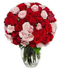 100 Blooms of Pink and Red Roses Delivery to Philippines