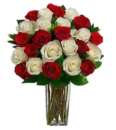 24 Red & White Roses Send to Philippines