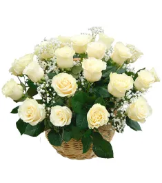 24 Stems White Roses in Basket