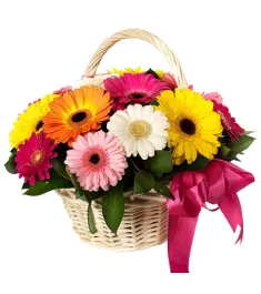 Gerberas in a Basket