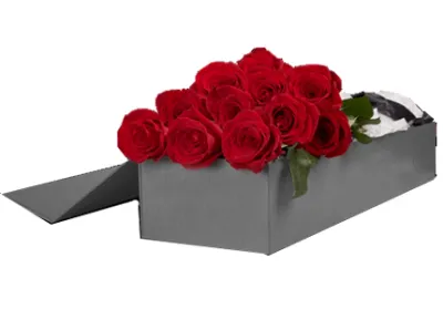 one dozen red rose to philippines