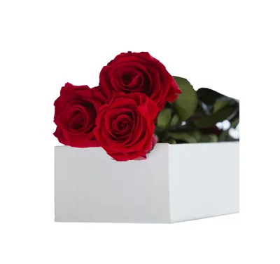 3 Pcs Roses Red Roses in Box