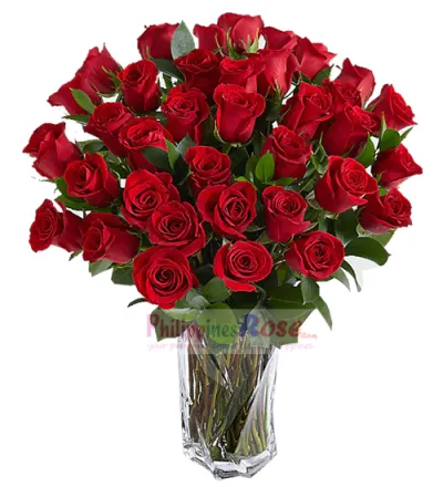 36 Red Roses Send to Philippines