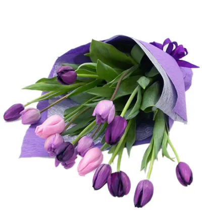 15 purple tulip in bouquet to philippines