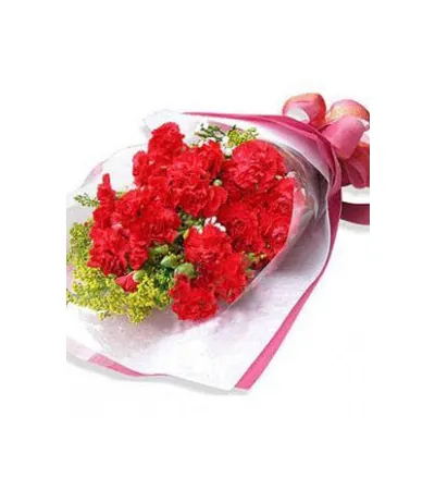 19 Red Carnations,Solidago and Greency