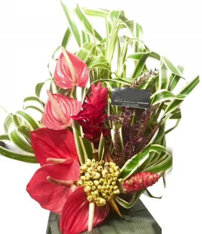 Anthurium in a Basket Arrangements For All Saints' Day