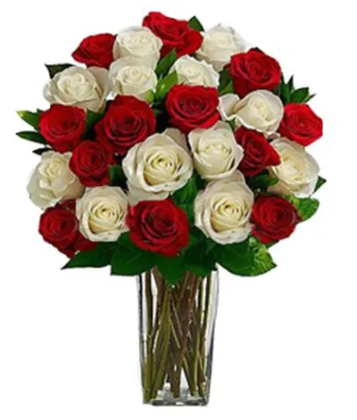 24 Red & White Roses Send to Philippines