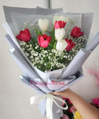 9 Pcs Red & White Tulips in a Bouquet