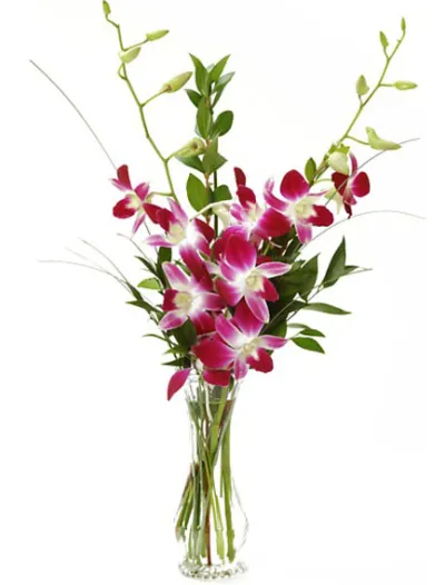 5 Pcs Purple Orchids in a Vase